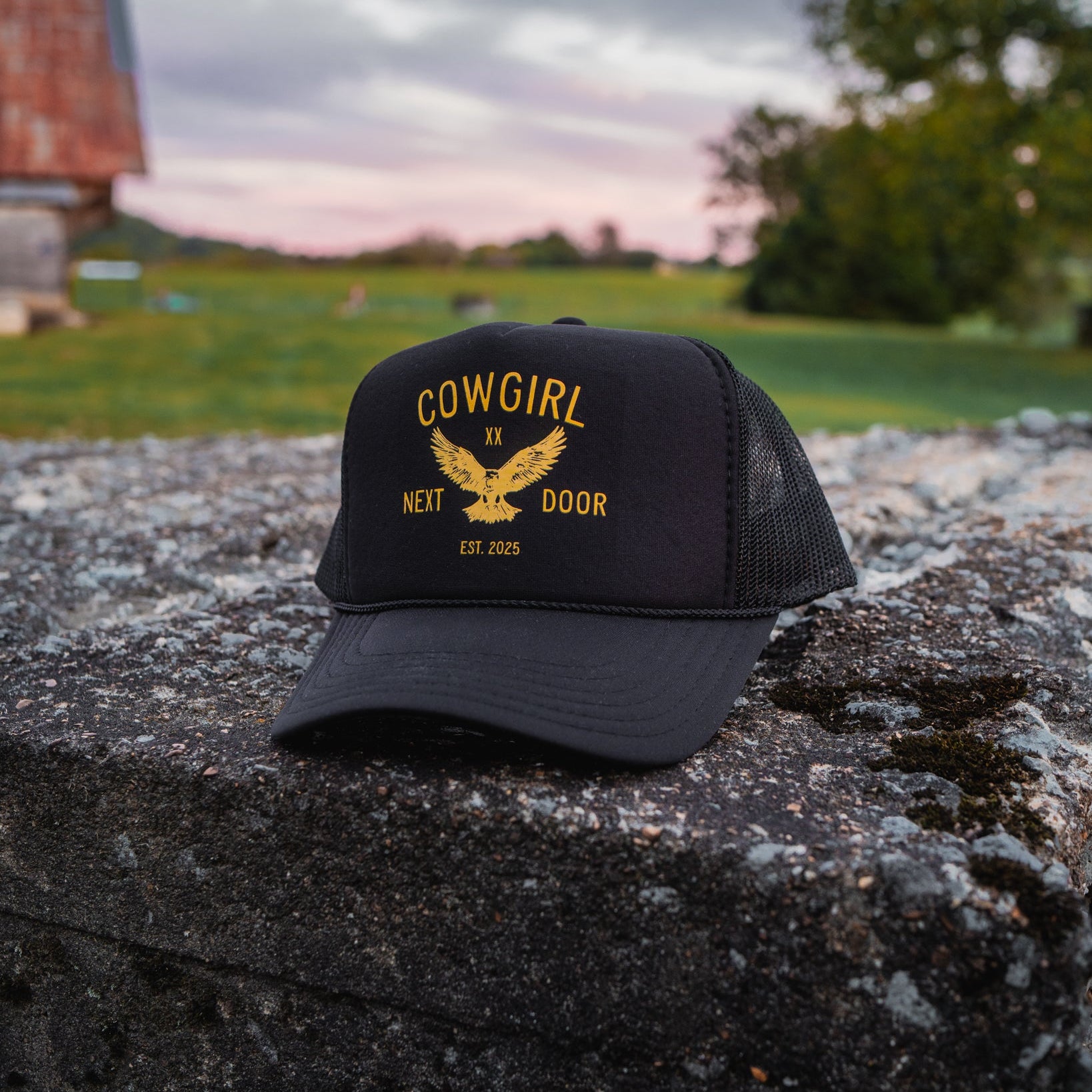 EAGLE TRUCKER Black